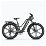 Fiido Titan Fat Tire Hunting-Touring Electric Bike, 26" wheels, 250W motor (1130W peak power), rear hub motor, 696Wh removable battery, 115 km range, torque sensor, hydraulic disc brakes, Fiido app, Black.