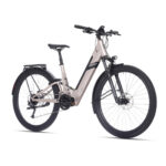 Rock Machine Crossride e450 e-bike, 29" wheels, 250W mid-drive motor, 504Wh removable battery, 100 km range, torque sensor, hydraulic disc brakes, grey.